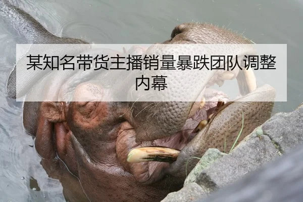 某知名带货主播销量暴跌团队调整内幕