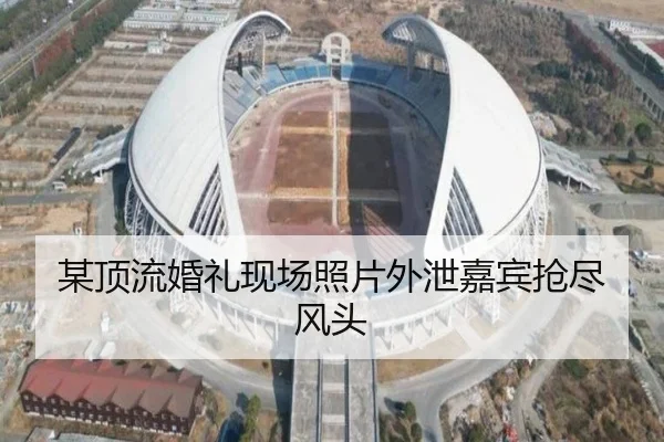 某顶流婚礼现场照片外泄嘉宾抢尽风头